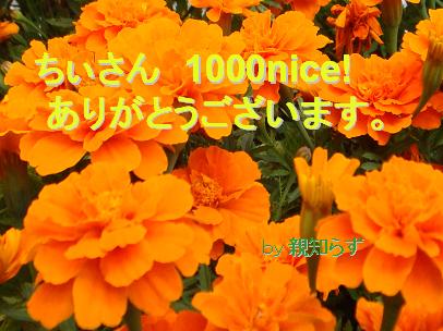 ちぃさんへ1000nice!キリ番カード.JPG