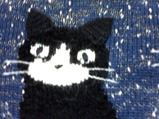 猫セーター１.jpg