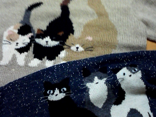 猫セーター２.jpg