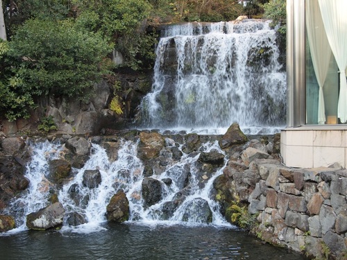 庭園の滝.JPG