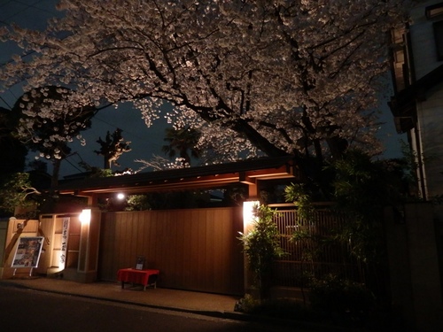 料亭の夜桜.JPG
